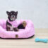 Kép 6/7 - PETSY PINKY kutya, macska pamut fekhely - 50 cm (Méret: 50 x 40 x 19 cm)