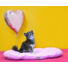 Kép 4/5 - PETSY PINKY pamut párna kutyáknak - 80 cm (Méret: 80 x 50 x 9 cm)