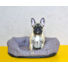 Kép 5/7 - PETSY BOBÍK pamut kutyafekhely - barnás-szürke - 65 cm (Méret: 65 x 50 x)