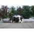 Kép 4/6 - PETSY DELUXE PUŇT'A  pamut párna kutyáknak - 120 cm (Méret: 120 x 70 cm)