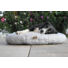 Kép 6/6 - PETSY DELUXE PUŇT'A  pamut párna kutyáknak - 120 cm (Méret: 120 x 70 cm)